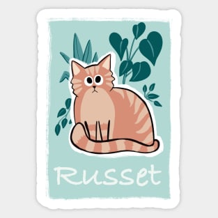 Russet the chonky orange cat Sticker